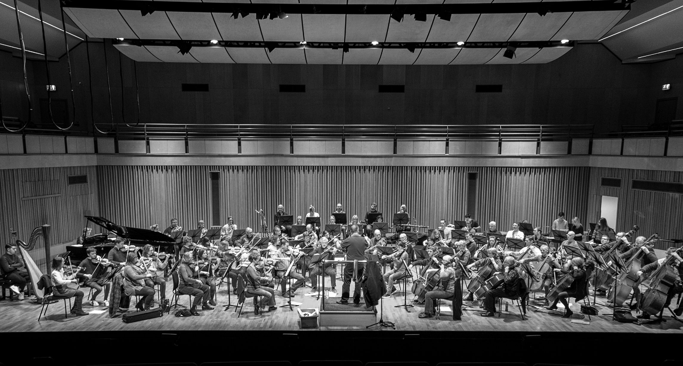 Join the Symphony Orchestra